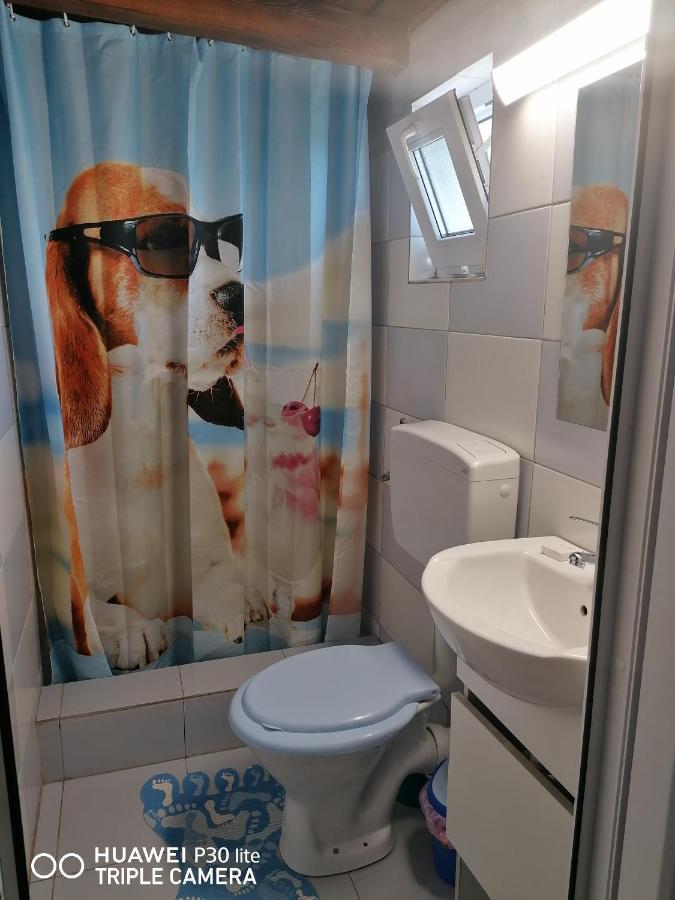 Casa Stefy Vama Veche Вама-Веке Екстер'єр фото