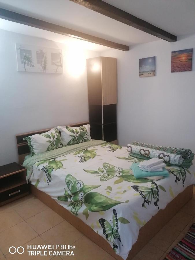 Casa Stefy Vama Veche Вама-Веке Екстер'єр фото