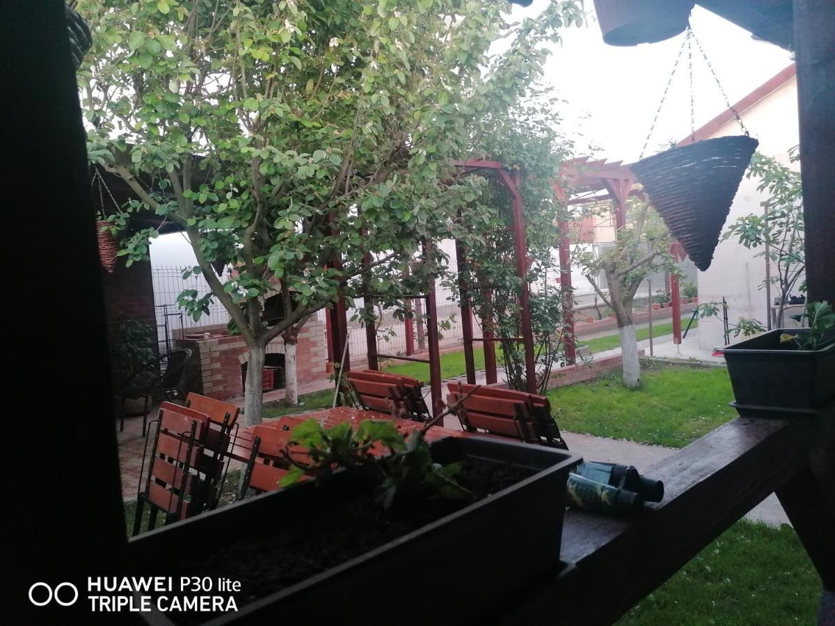 Casa Stefy Vama Veche Вама-Веке Екстер'єр фото